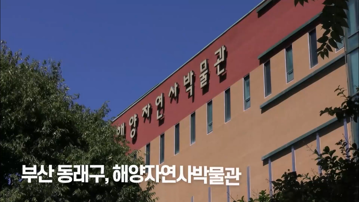 7강 - 생물의 구성 단계