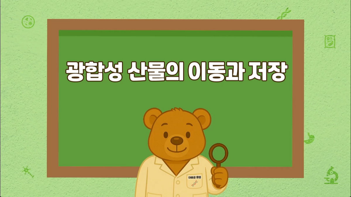 5강 - 광합성 산물의 이동과 저장