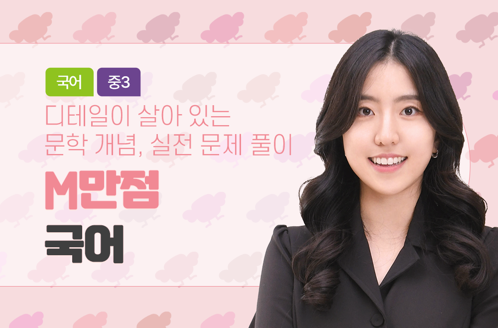 우쌤의 D디테일이 살아 있는 M만점 국어