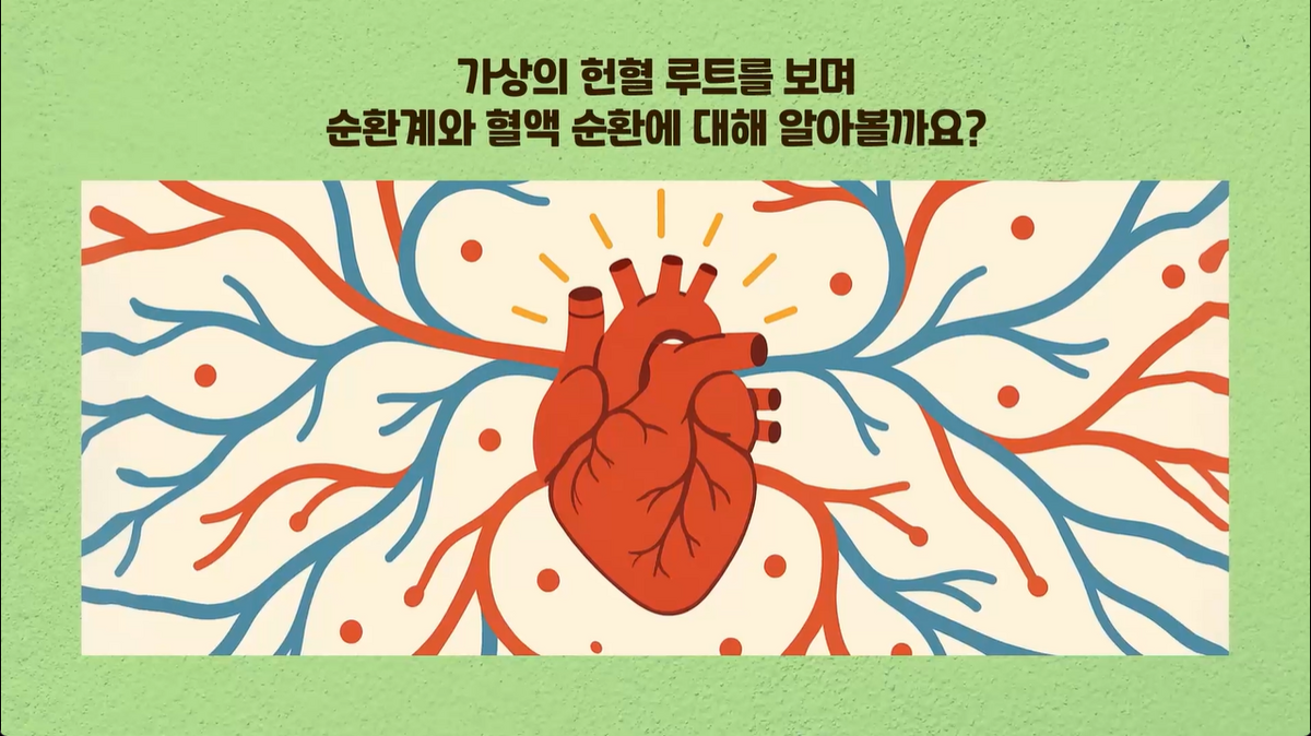 10강 - 순환계와 혈액 순환