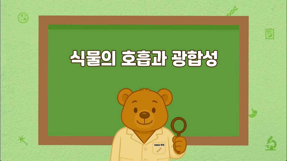 4강 - 식물의 호흡과 광합성